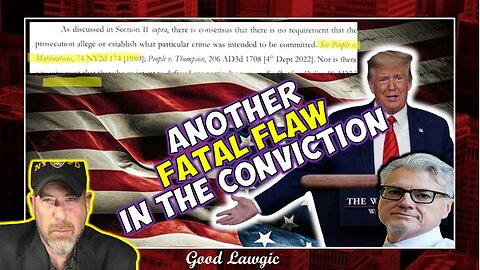 Viewer's Discretion: More Flaws. More Fatality. (Analyzing Trump Conviction)