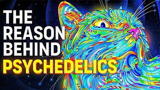 Video Why Psychedelics Are Fueling a Mental Health Revolution