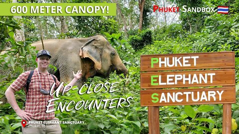 Travel Thailand | Phuket Elephant Sanctuary | Up-close encounters & 600M Canopy Tour (Sep 2021)