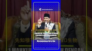 Hanya Satu Makhluk Yang Sedih Atas Kelahiran Nabi Muhammad