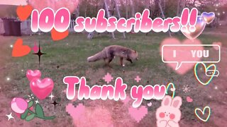 100 subscribers!!