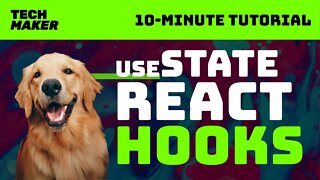 React Tutorial | How to Use the React useState Hook in a Real App | 10-Minute Tutorials