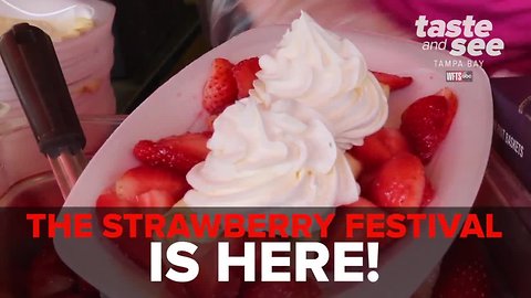 Florida Strawberry Festival 2019 returns to Plant City | Taste and See Tampa Bay