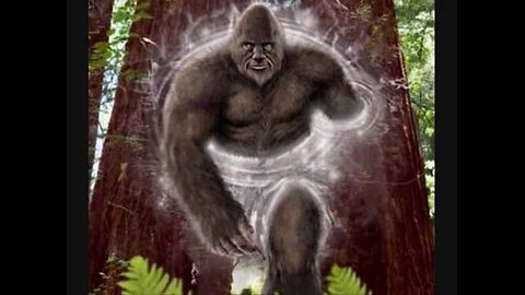 Deer Hunter Reports Bigfoot Activity in Oneida County, New York