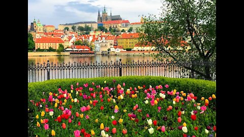 250 Reasons to Visit the Czech Republic