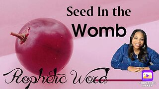 Seed In The Womb: Prophetic Word For Women