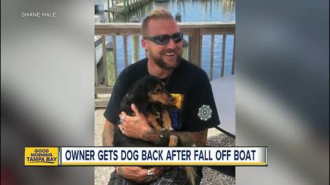 Florida man reunited with dog lost in Gulf of Mexico storm