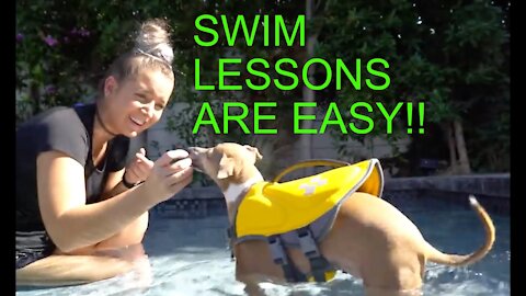 Wanna know how I taught my dog swim?