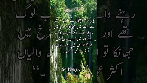 Sahi Bukhari #6449 #islamicvideo #islam #hadees #hadith #hadeesenabvi #youtubeshorts #viral