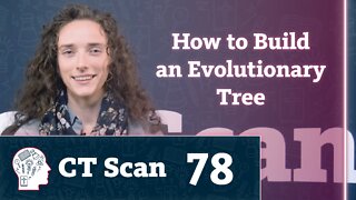 Where do “evolutionary family trees” come from? (CT Scan, Episode 78)