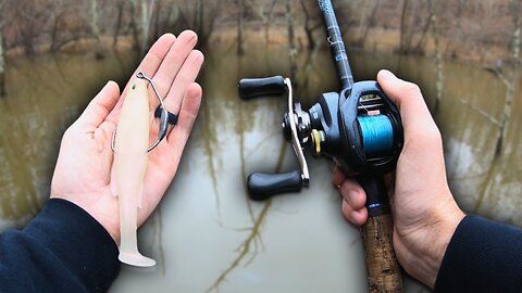 Catching GIANT Bass in a Flooded Forest (No FFS)