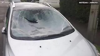 Moradores destroem automóveis por vingança na Inglaterra