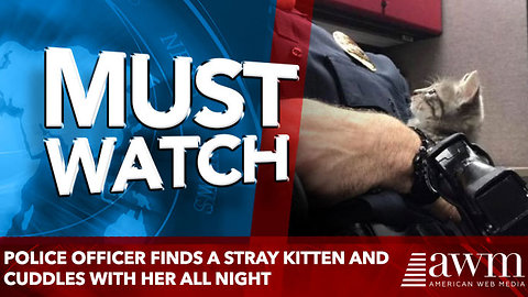 Police Officer Finds a Stray Kitten and Cuddles With Her All Night