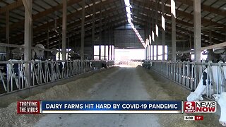 Dairy Farms Hit Hard by COVID-19 Pandemic