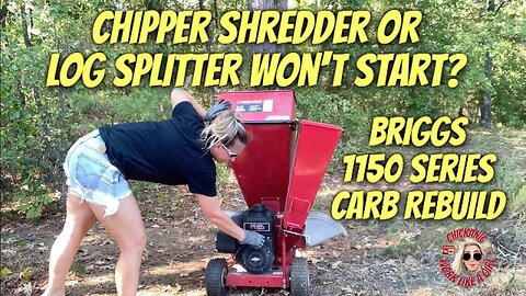 Log Splitter/Chipper Shredder WON'T START? HOW TO REBUILD A BRIGGS 1150 SERIES CARBURETOR