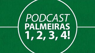 MAIS UMA VITÓRIA ÉPICA E O PALMEIRAS SEGUE LÍDER DO CAMPEONATO BRASILEIRO. #PALMEIRAS