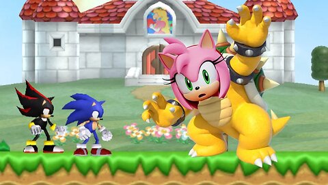 New Super Sonic Bros. Wii: Sonic Adventure - 2 Player Co-Op Walkthrough #239 (HD)