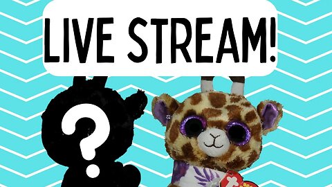 Harriet is BACK! Come and Chat With Us! - Beanie Boo Safari