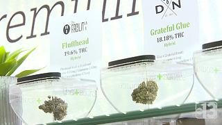Are there too many dispensaries in Las Vegas valley?