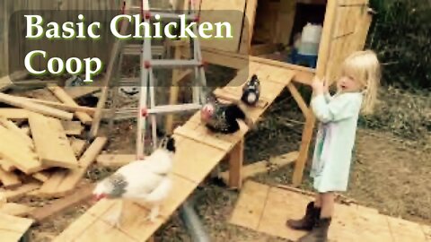 Basic Chicken Coup Design | Sovereign Provisions Homestead