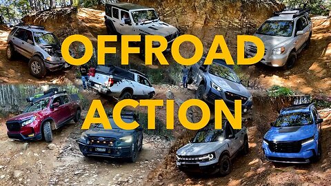 AWDFEST OFFROAD ACTION! Jeep, 4Runner, Bronco Sport, Pilot TrailSport, Outback Wilderness, Acuwagon
