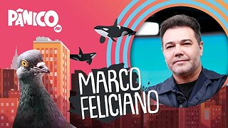 Marco Feliciano - PÂNICO - 30/01/2020