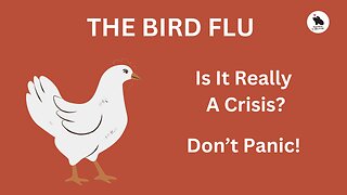 Is The Bird Flu Really A Crisis?