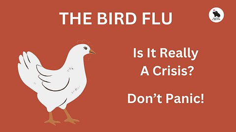 Is The Bird Flu Really A Crisis?