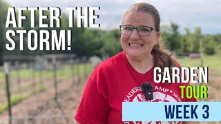 After the Storm! Garden Tour 2022: Week 3 | Oklahoma Zone 7b