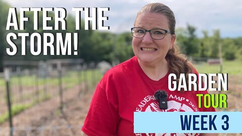 After the Storm! Garden Tour 2022: Week 3 | Oklahoma Zone 7b