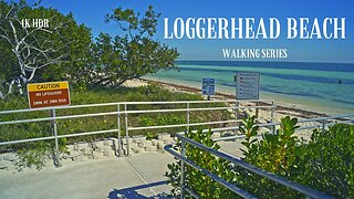 Walking along Loggerhead Beach | Surround Sound