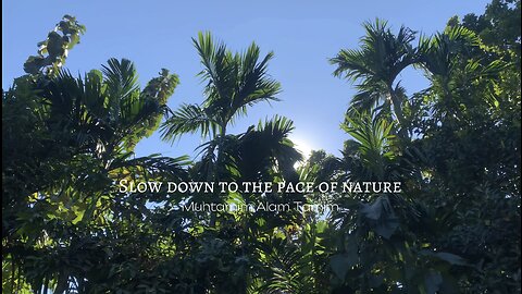 Slow down to the pace of nature | Nature cinematic video