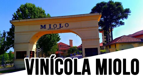 Vinícola Miolo - Degustação em Bento Gonçalves