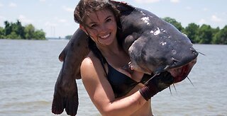 Giant Bluecats in COLD Water!