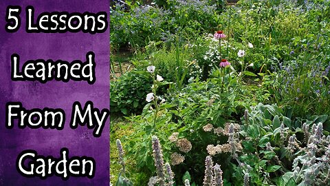 5 Lessons Learned From My Garden