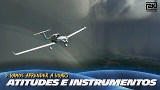 Vamos Aprender a Voar? Episódio 02