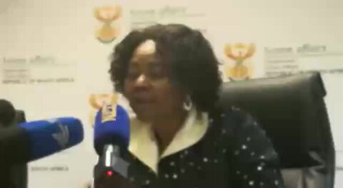 SA home affairs minister outlines fees, terms of Zim permits (AtU)