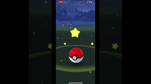 Pokémon Go - Catching Another Darn Pidgey Gameplay #Shorts