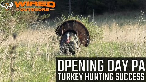 Opening Day PA Turkey Hunting Success