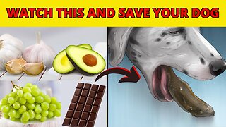 22 Common Foods That Will Kill Your Dog