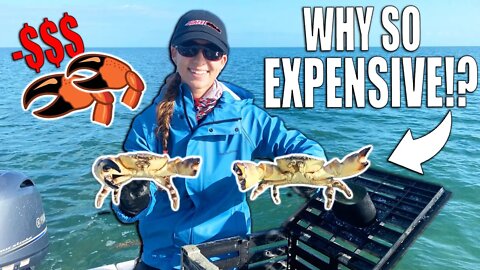 How Expensive is Stone Crab!? *Price Breakdown*
