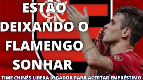 ESTÃO DEIXANDO O FLAMENGO SONHAR/TIME CHINÊS LIBERA JOGADOR PARA ACERTAR EMPRÉSTIMO