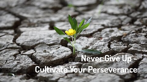 Never Give Up - Cultivate Your Perseverance (Reiki/Energy Healing/Frequency Healing)