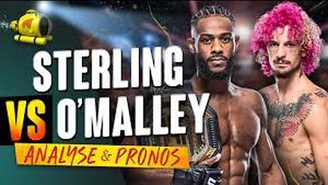 Sean O’Malley KOs Aljamain Sterling at UFC 292