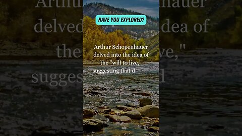 Schopenhauer on the will Desires lead to suffering in the human experience 🌊