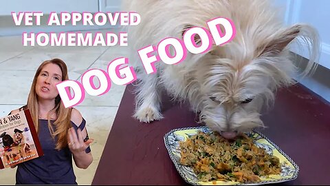 Healthy Homemade Dog Food Recipe Vet Approved