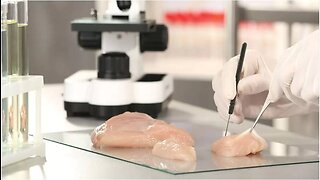 Eating Lab Grown Chicken Equivalent to Eating Cancer Tumors?