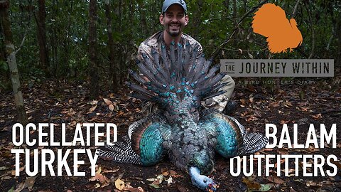 Ocellated Turkey: Balam Outfitters - Yucatán Mexico | Mark V Peterson Hunting