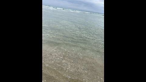 My Crazy Dog ​​On The Beach! Beautiful Beach Day In Portugal🇵🇹