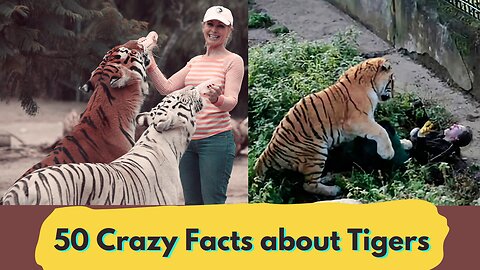 50 Insane Facts About Tigers